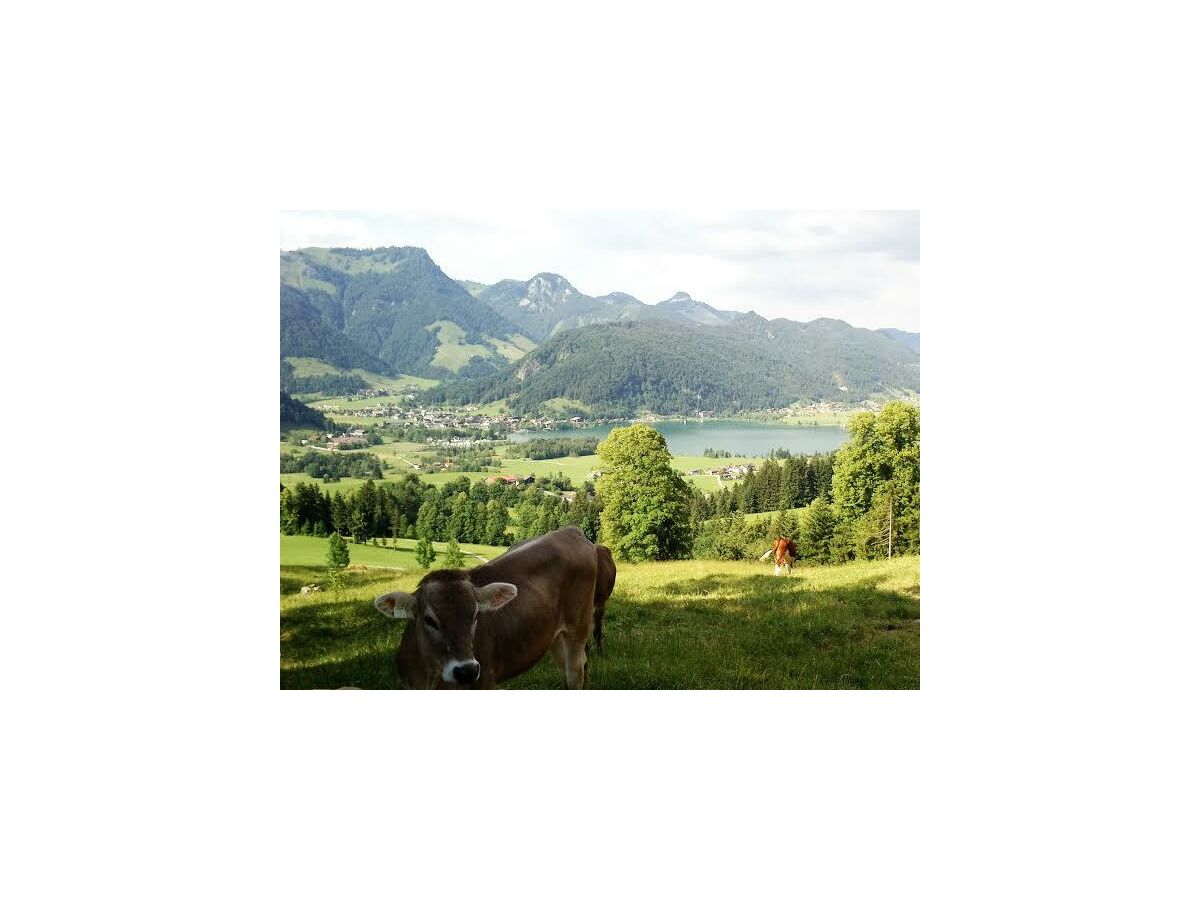 Apartment Ferienwohnung Walchsee - Outdoor photo 4