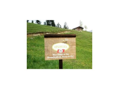 Apartment Ferienwohnung Walchsee - Outdoor photo 3