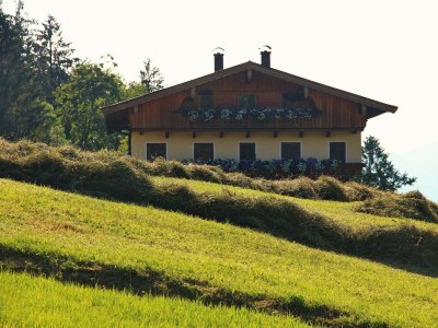 Apartment Ferienwohnung Walchsee - Outdoor photo 11