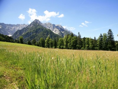 Apartment Ferienwohnung Walchsee - Outdoor photo 12