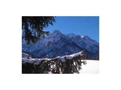 Apartment Ferienwohnung Walchsee - Outdoor photo 14