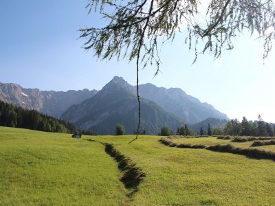 Apartment Ferienwohnung Walchsee - Outdoor photo 15