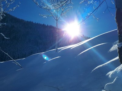 Apartment Ferienwohnung Walchsee - Outdoor photo 16