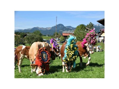 Apartment Appartement/2 Schlafräume/Dusche, WC - Outdoor photo 20