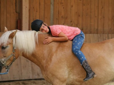 Holiday room DZ "Haflinger" - Zirbenholzdecke, Balkon - Outdoor photo 15