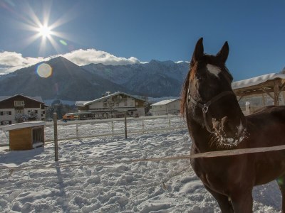 Holiday room DZ "Haflinger" - Zirbenholzdecke, Balkon - Outdoor photo 18