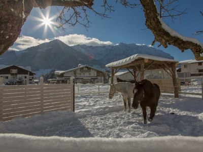 Holiday room DZ "Haflinger" - Zirbenholzdecke, Balkon - Outdoor photo 23