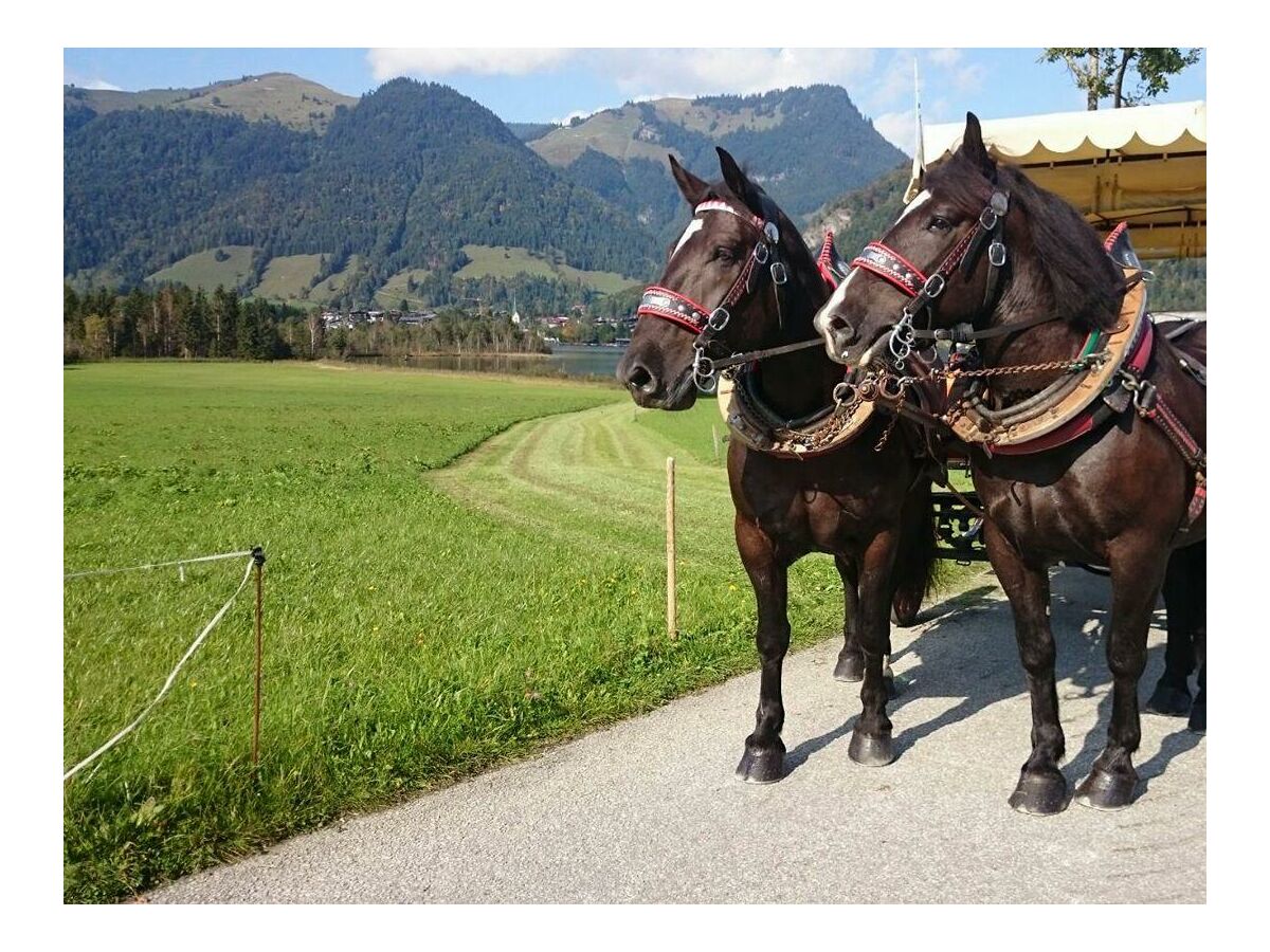 Apartment FW "Heuberg" - Einzimmerwohnung mit Balkon - Outdoor photo 5