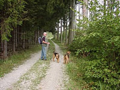 Holiday apartment Midas Touch - Environment photo 12