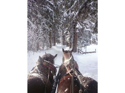 Apartment FW "Rosskaiser" - 2 Schlafzimmer, großer Balkon - Outdoor photo 19