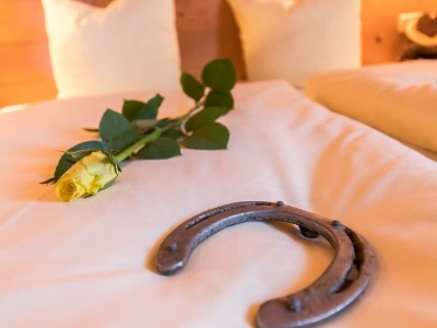 Apartment FW "Lochner Horn" - Zweizimmerwohnung, Balkon - Features photo 29