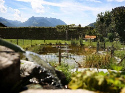 Apartment App."Kaiser"/1 Schlafraum/Dusche, WC - Outdoor photo 6