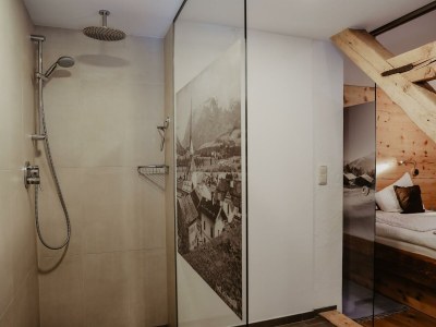 Apartment App."Kaiser"/1 Schlafraum/Dusche, WC - Features photo 30