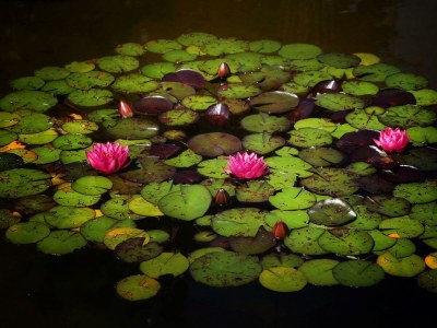 Apartment App."Kogl"/1 Schlafraum/DU/WC,TV,Bal - Outdoor photo 7