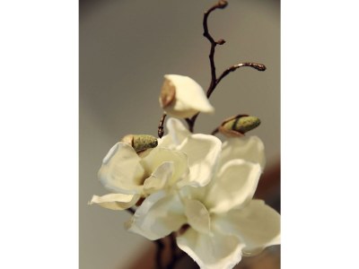 Apartment App."Kogl"/1 Schlafraum/DU/WC,TV,Bal - Features photo 26