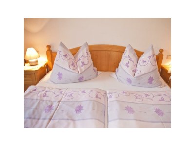 Apartment App. "Moserberg"- 2 Schlafräume, TV - Features photo 22