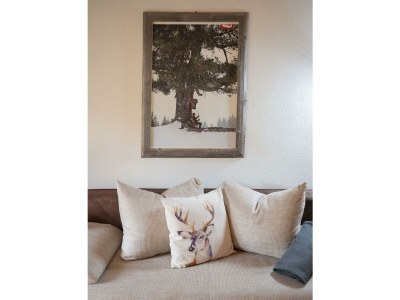 Apartment App. Kaiserblick I - 1 Schlafzimmer, DU/WC, TV, Ba - Features photo 23