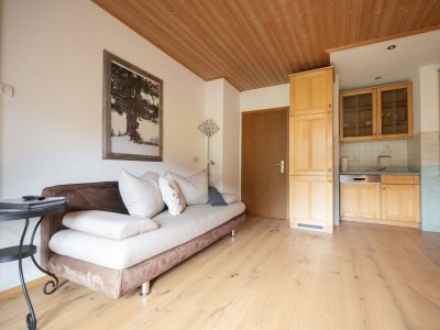 Apartment App. Kaiserblick I - 1 Schlafzimmer, DU/WC, TV, Ba - Features photo 25