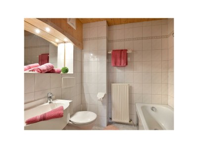 Apartment App."Unterberg 3" /Wohn-Schlafraum/DU,WC,Bal - Features photo 13