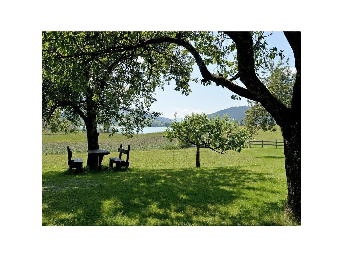 Apartment App."Zahmer Kaiser 5"/Wohn-Schlafraum/DU,WC,Bal - Outdoor photo 5