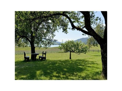 Apartment App."Zahmer Kaiser 5"/Wohn-Schlafraum/DU,WC,Bal - Outdoor photo 5