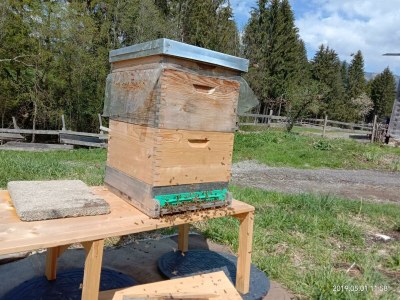 Holiday room Zimmer3 mit 2 Einzelbetten - Outdoor photo 52