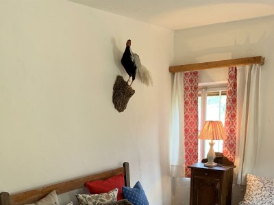 Holiday room Zimmer3 mit 2 Einzelbetten - Features photo 65