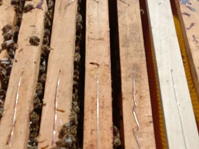 Holiday room Zimmer2 mit 2 Einzelbetten - Outdoor photo 40