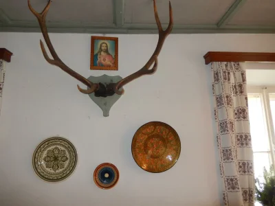 Holiday room Zimmer2 mit 2 Einzelbetten - Outdoor photo 59