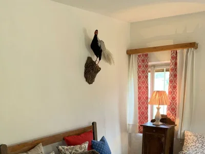 Holiday room Zimmer2 mit 2 Einzelbetten - Features photo 66