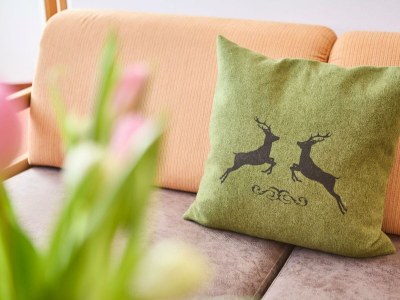 Holiday room DZ "Bergblick"  mit Dusche, Bad, WC,Balkon - Outdoor photo 78