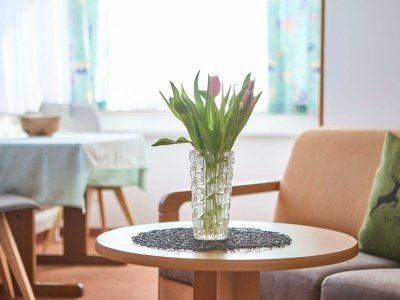 Apartment App."Morgensonne" -1 Schlafraum/Dusche, WC,TV,Balk - Outdoor photo 79