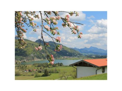 Apartment Chalet "Strobl" in Walchsee - Outdoor photo 12