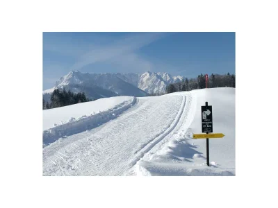 Holiday room Einzelzimmer mit Dusche, WC, TV - Outdoor photo 6