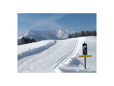 Holiday room Doppelzimmer mit Dusche/WC, TV und WLAN - Outdoor photo 6