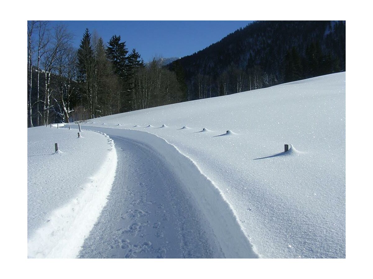 Apartment Appartement Kaiserstüberl