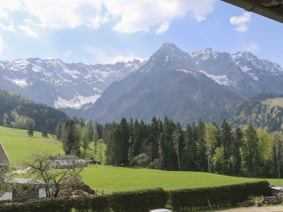 Apartment Familienappartement Walchsee - bis 4 P. - Outdoor photo 13