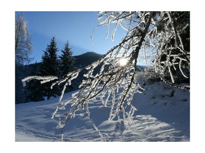 Apartment Apartment Sonnblick barrierefrei - Outdoor photo 6