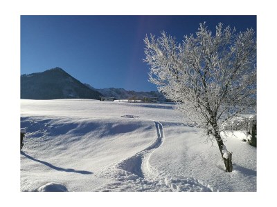 Apartment Apartment Sonnblick barrierefrei - Outdoor photo 9