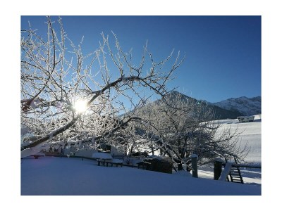 Apartment Apartment Sonnblick barrierefrei - Outdoor photo 11