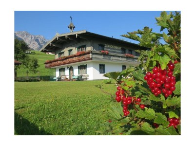 Apartment Apartment Sonnblick barrierefrei - Outdoor photo 15