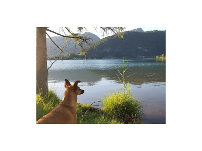 Apartment Apartment Sonnblick barrierefrei - Outdoor photo 20