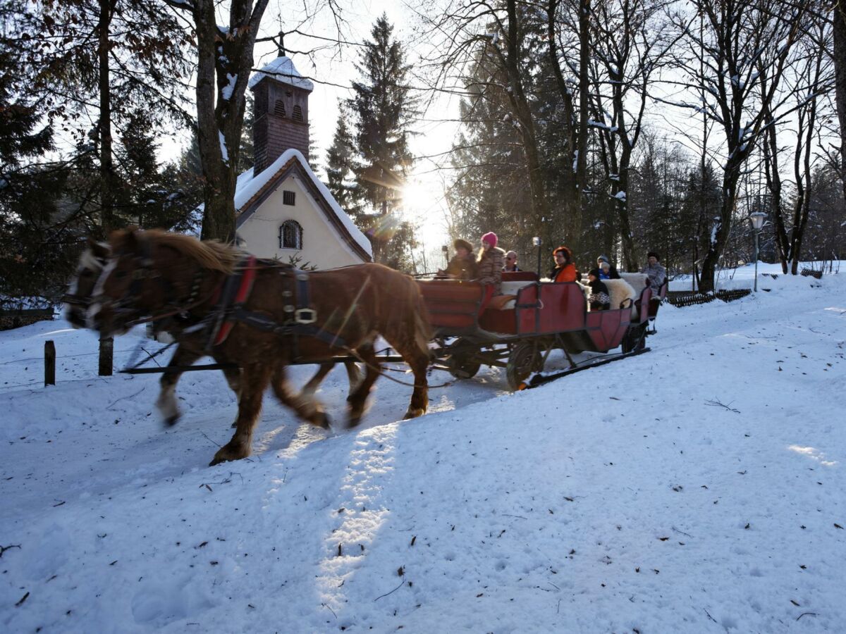 Apartment Ferienwohnung Michi - Outdoor photo 4