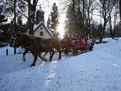Apartment Ferienwohnung Michi - Outdoor photo 4
