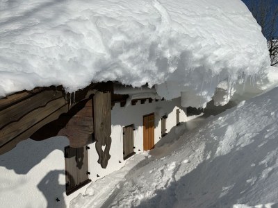 Holiday room Doppelzimmer, Dusche, WC, 1 Schlafraum in Walchsee - Holiday room