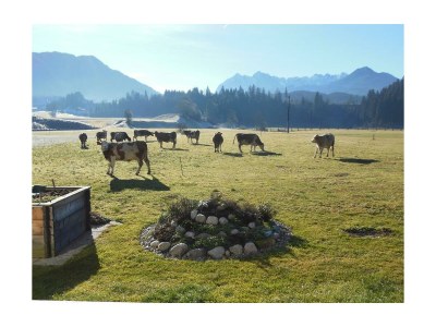 Apartment Appartement "2-5 Pers." - 2 Schlafzimmer, Balkon - Outdoor photo 5