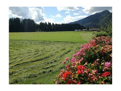 Apartment Appartement "2-5 Pers." - 2 Schlafzimmer, Balkon - Outdoor photo 8
