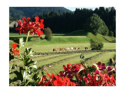 Apartment Appartement "2-5 Pers." - 2 Schlafzimmer, Balkon - Environment photo 22