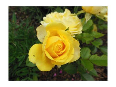 Apartment Appartement "2-5 Pers." - 2 Schlafzimmer, Balkon - Environment photo 25