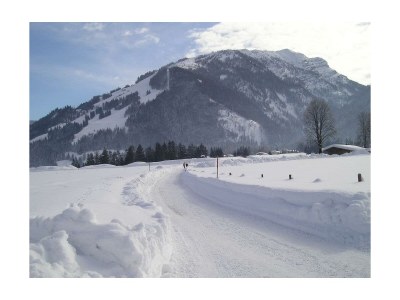 Apartment Appartement "2-5 Pers." - 2 Schlafzimmer, Balkon - Environment photo 28